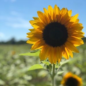 Meet your Posher, Lyndsey